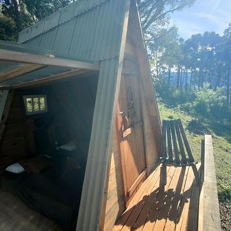 Estancia Las Araucarias Canela Dış mekan fotoğraf