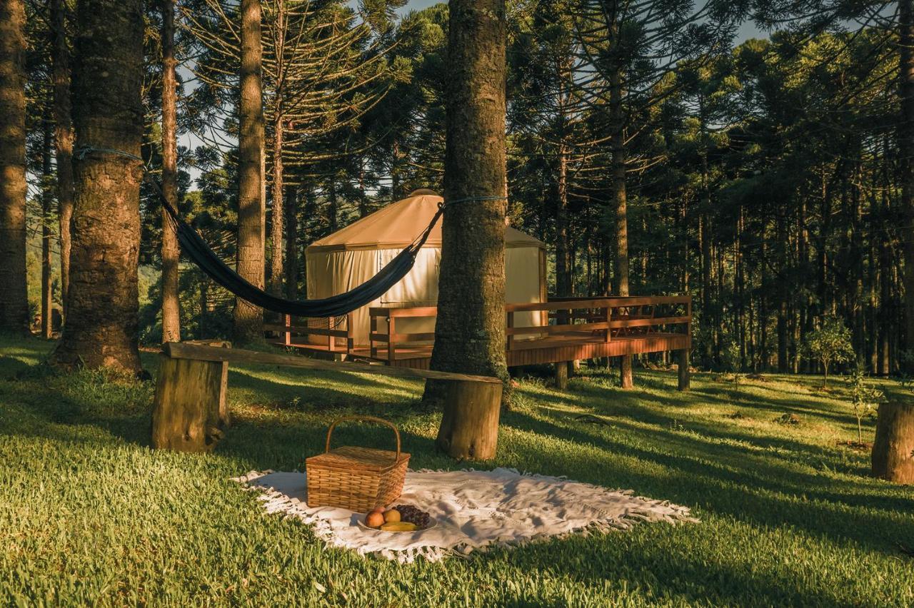 Estancia Las Araucarias Canela Dış mekan fotoğraf