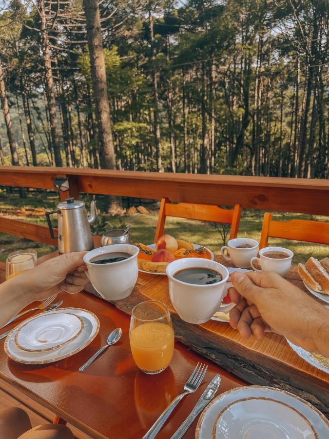Estancia Las Araucarias Canela Dış mekan fotoğraf