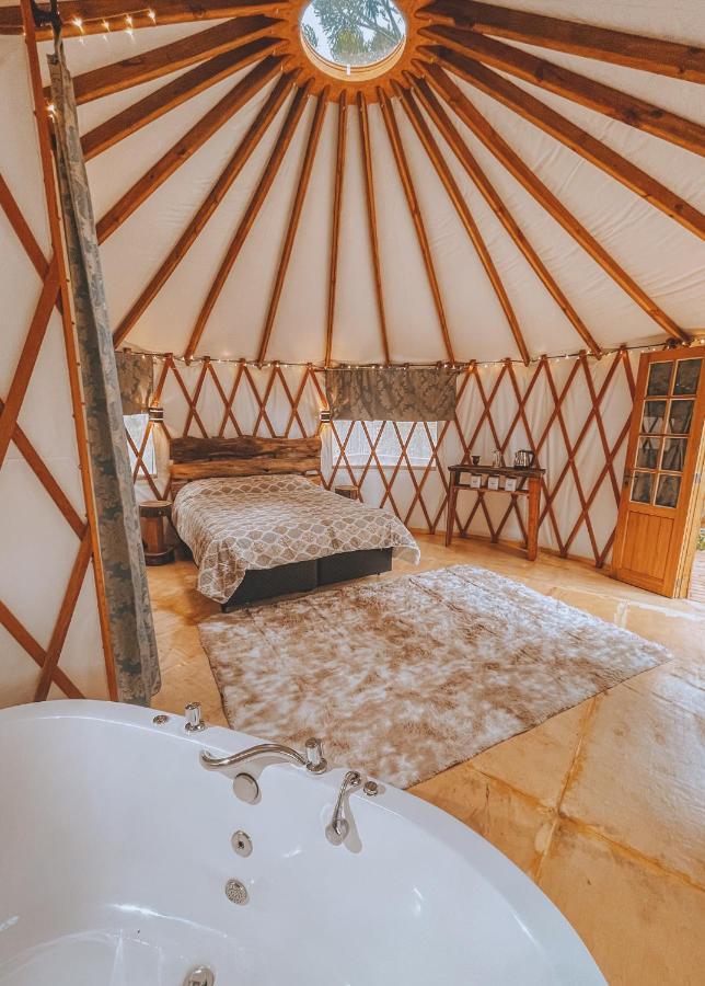 Estancia Las Araucarias Canela Dış mekan fotoğraf