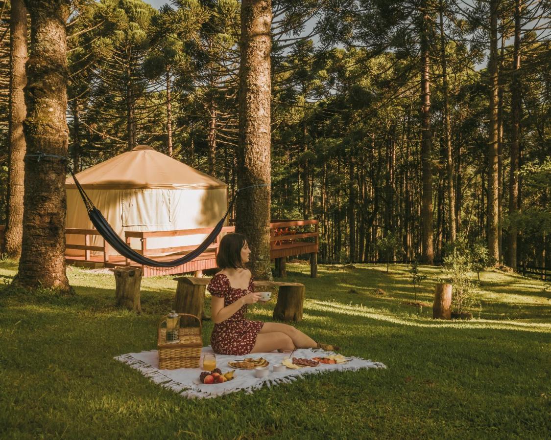 Estancia Las Araucarias Canela Dış mekan fotoğraf