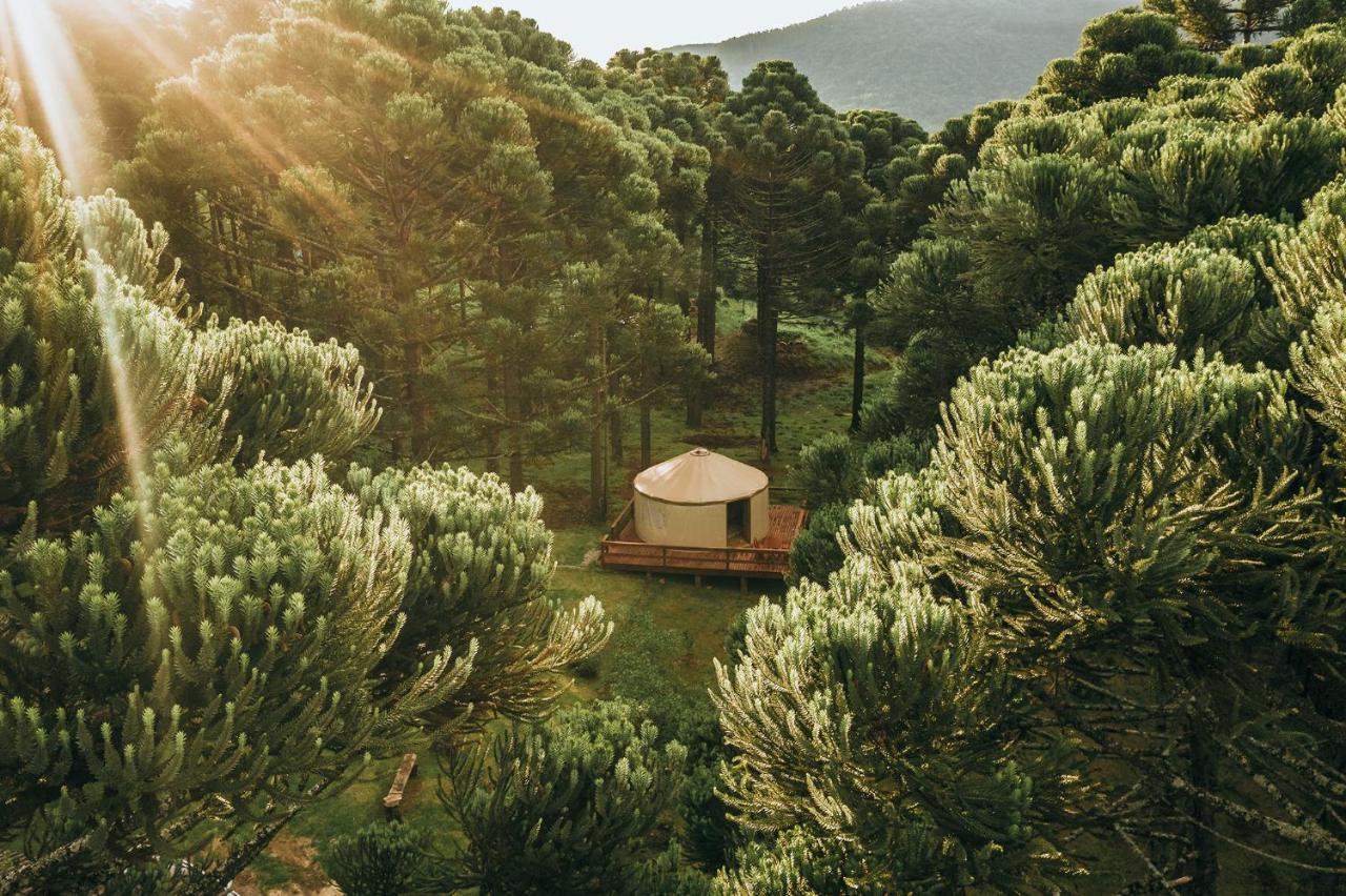 Estancia Las Araucarias Canela Dış mekan fotoğraf