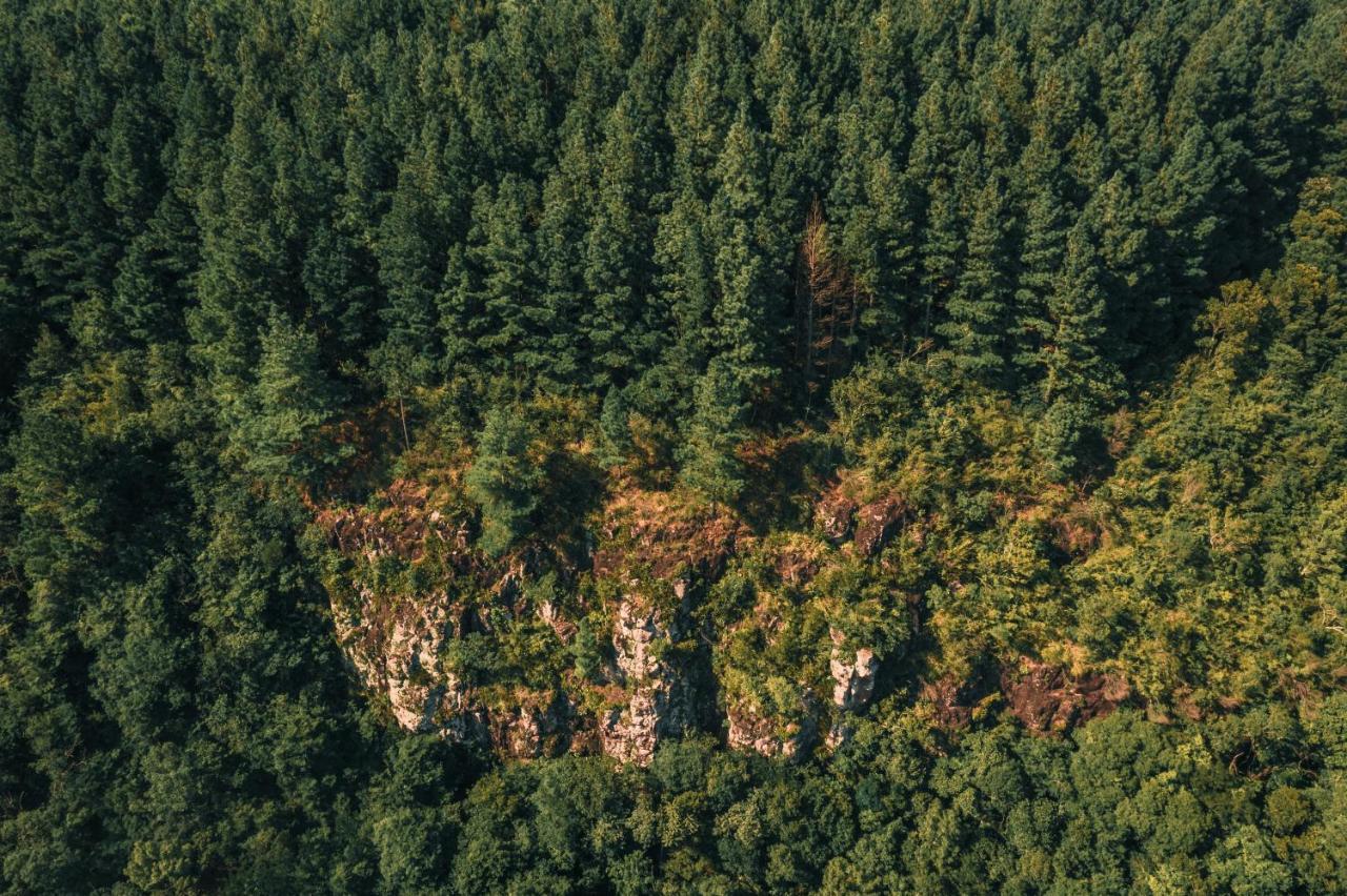 Estancia Las Araucarias Canela Dış mekan fotoğraf