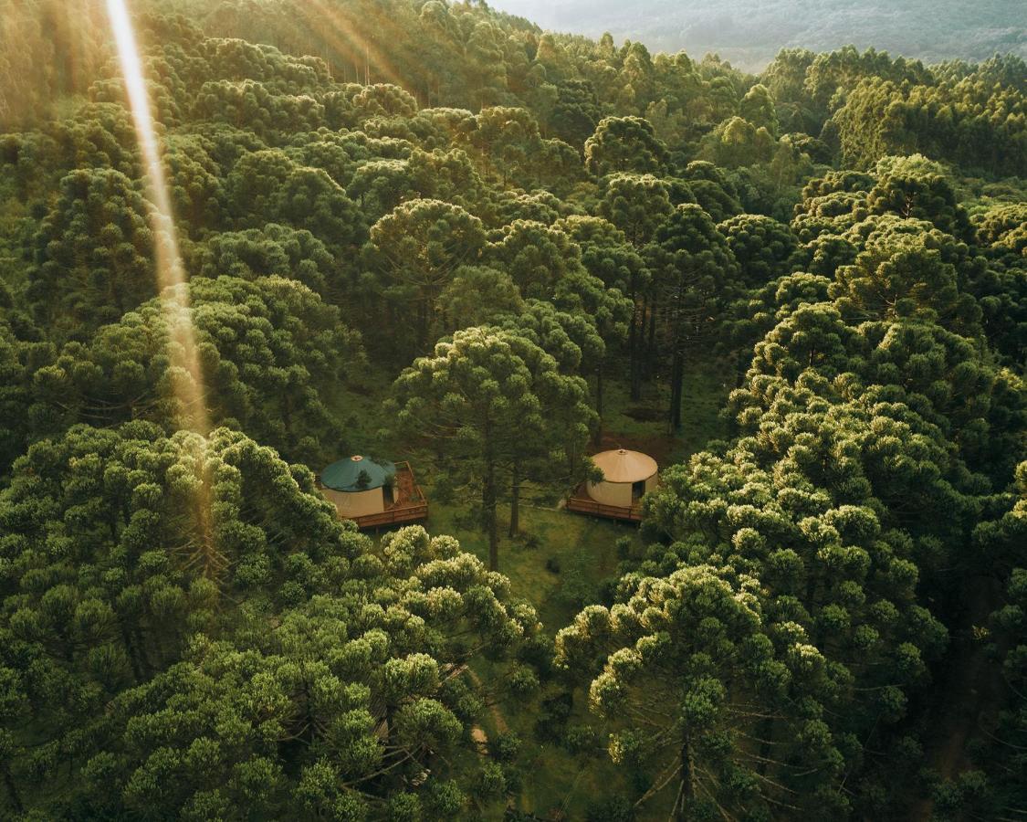Estancia Las Araucarias Canela Dış mekan fotoğraf