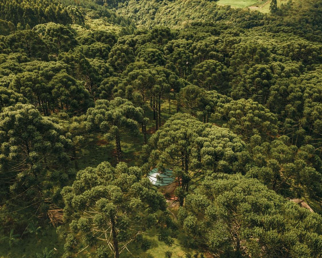 Estancia Las Araucarias Canela Dış mekan fotoğraf
