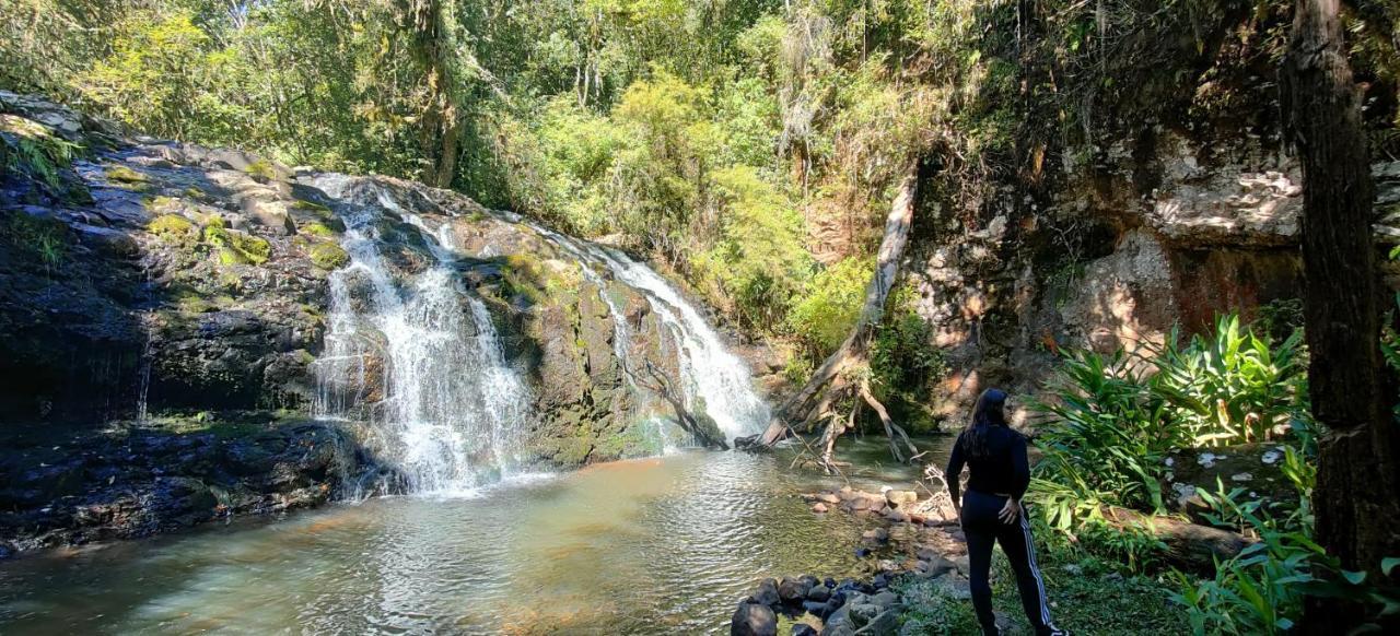 Estancia Las Araucarias Canela Dış mekan fotoğraf